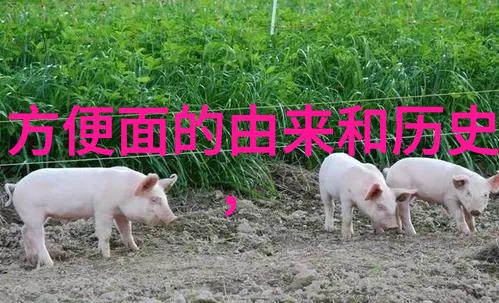 科学预警vs自然力量如何确保黑龙江居民安全度过大暴雪