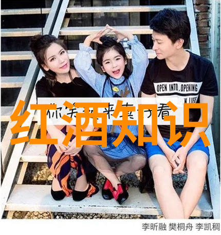 法国著名的葡萄酒产区-波尔多布鲁瓦地区与洛阿尔-夏罗讷法国葡萄酒之冠