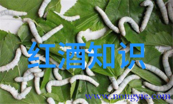 智利的秘密花园兰佩谷的奇迹与魅力