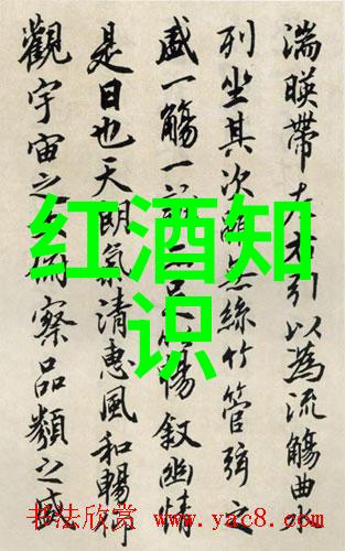 中国vs巴西世界杯安东尼奥巴塞洛酒庄盛宴