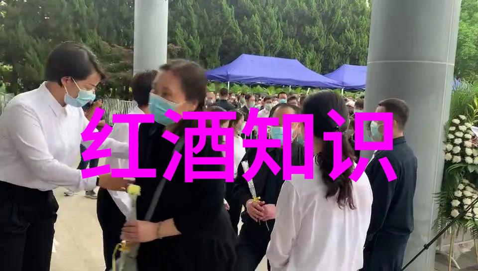 西安周边踏青美景探索秦岭云海与古城风情的共鸣