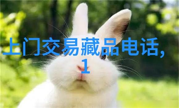 晚风送爽智慧共赏创意设计下的文本互动
