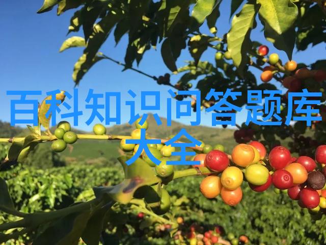 情感共鸣一日游去哪儿探索心灵的港湾