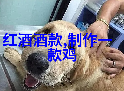 对待烈士社会给予了什么样的回应和认可呢