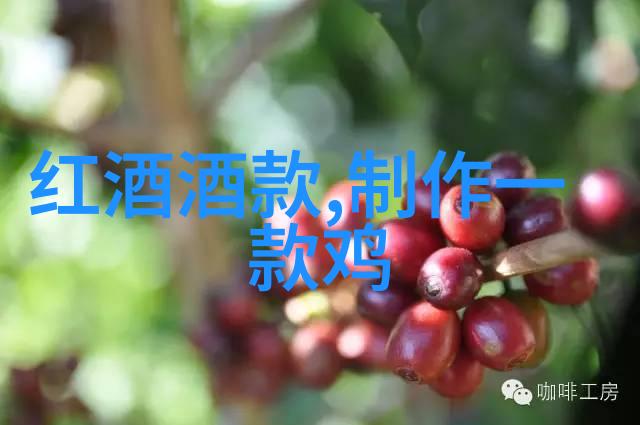 红酒的日常知识大全意大利红酒等级之分优雅与精准并存