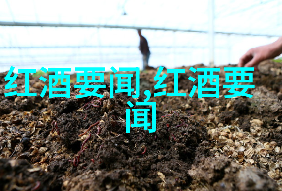 穿越时空的历史镜像解读历史小说中的叙事逻辑与文化象征