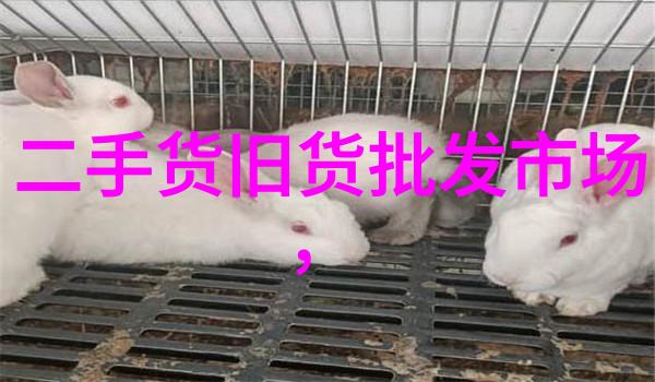 法国葡萄酒的精髓里奥哈产区与波尔多白朗格布克和沙特奈共舞