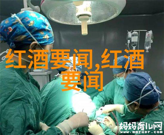 哪些因素让法语海岸线上的普罗旺斯成为了知名红酒的地标