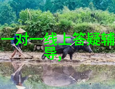 东北酒香悠扬探索顺口溜背后的文化深度