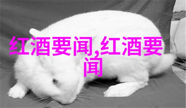 巴以冲突历史根源简述我为什么要告诉你这段痛苦的故事从沙漠中的对立到世纪的纷争