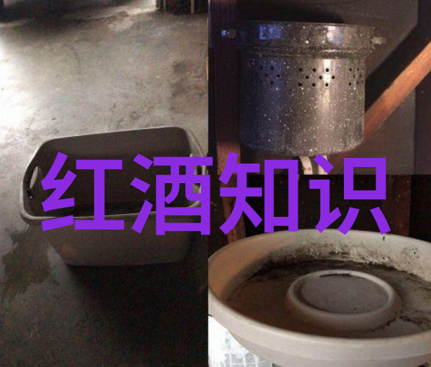 解锁秘籍揭秘那些隐藏在动漫人物画法背后的神秘技巧