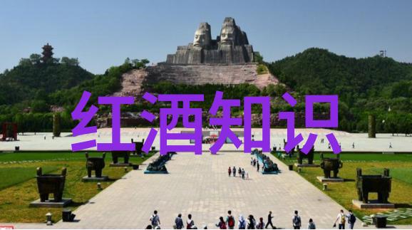 阿根廷门多萨产区我在门多萨的葡萄采摘日记阳光与汗水里的美好