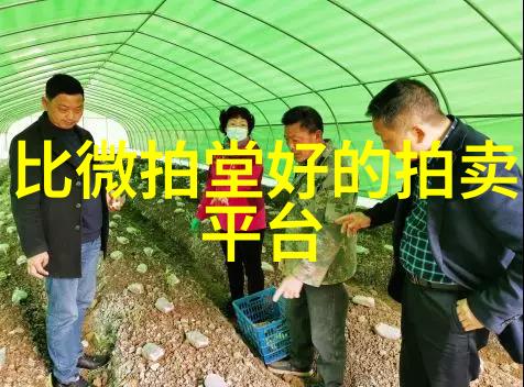 上海周边的秘密之都揭开未知的古迹