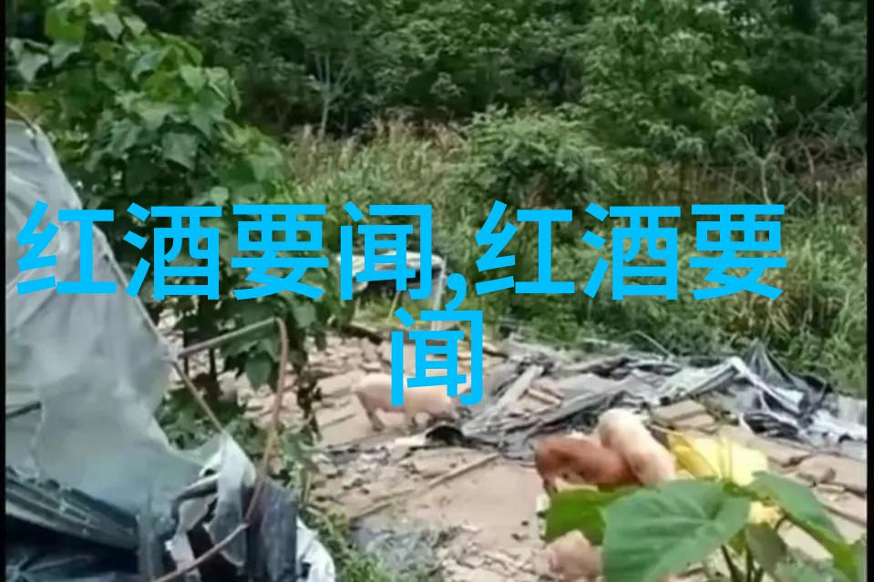 大收藏家的珍品库探秘那些心仪已久的艺术宝藏