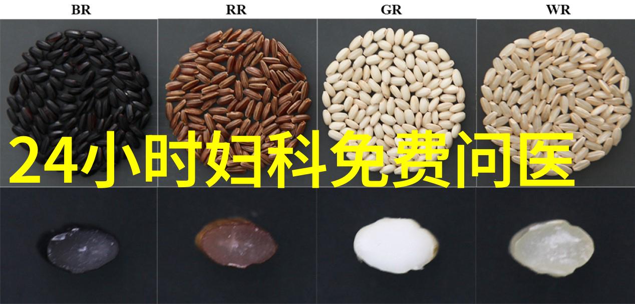 追逐梦想蚂蚁庄园的成功之谜