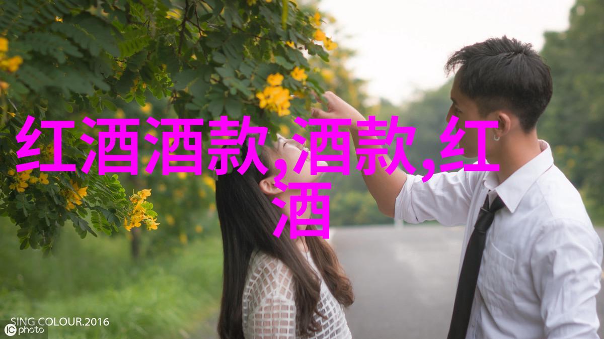 红酒知识-品鉴红酒解锁葡萄园至杯舌的秘密