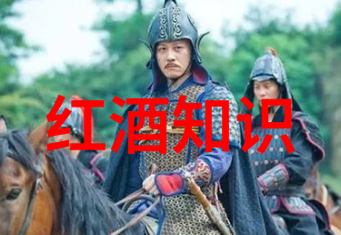 将军托着公主娇蕊暴击乱世枭雄与柔情似水的逆袭之旅
