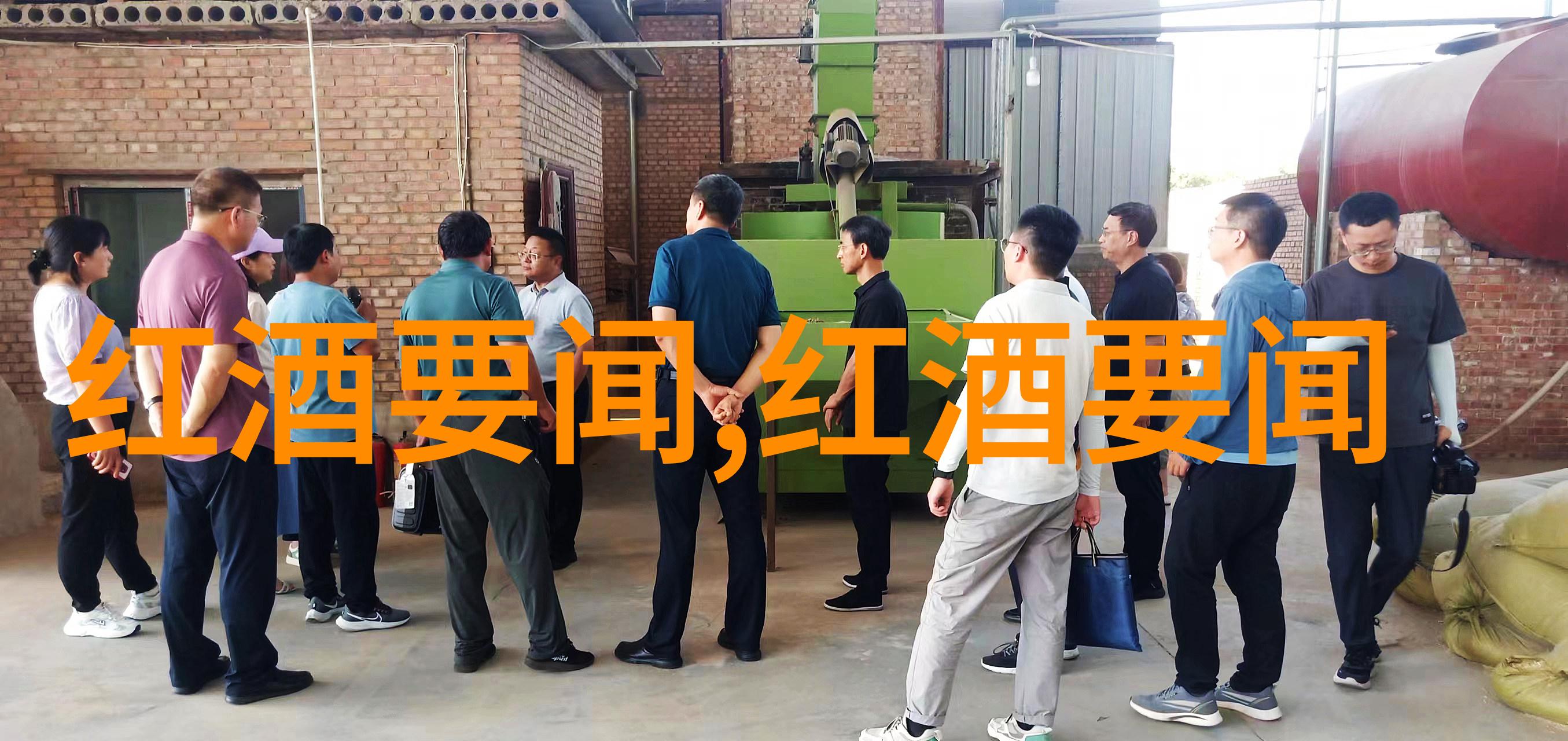 实用指南如何鉴定和保养你的人民币收藏品