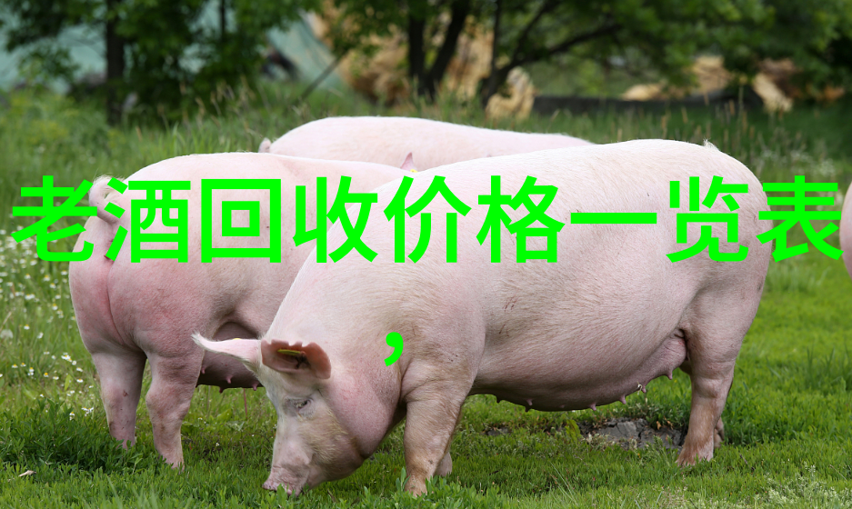 猫咪世界中的多样性探索各种独特的猫咸品种特点