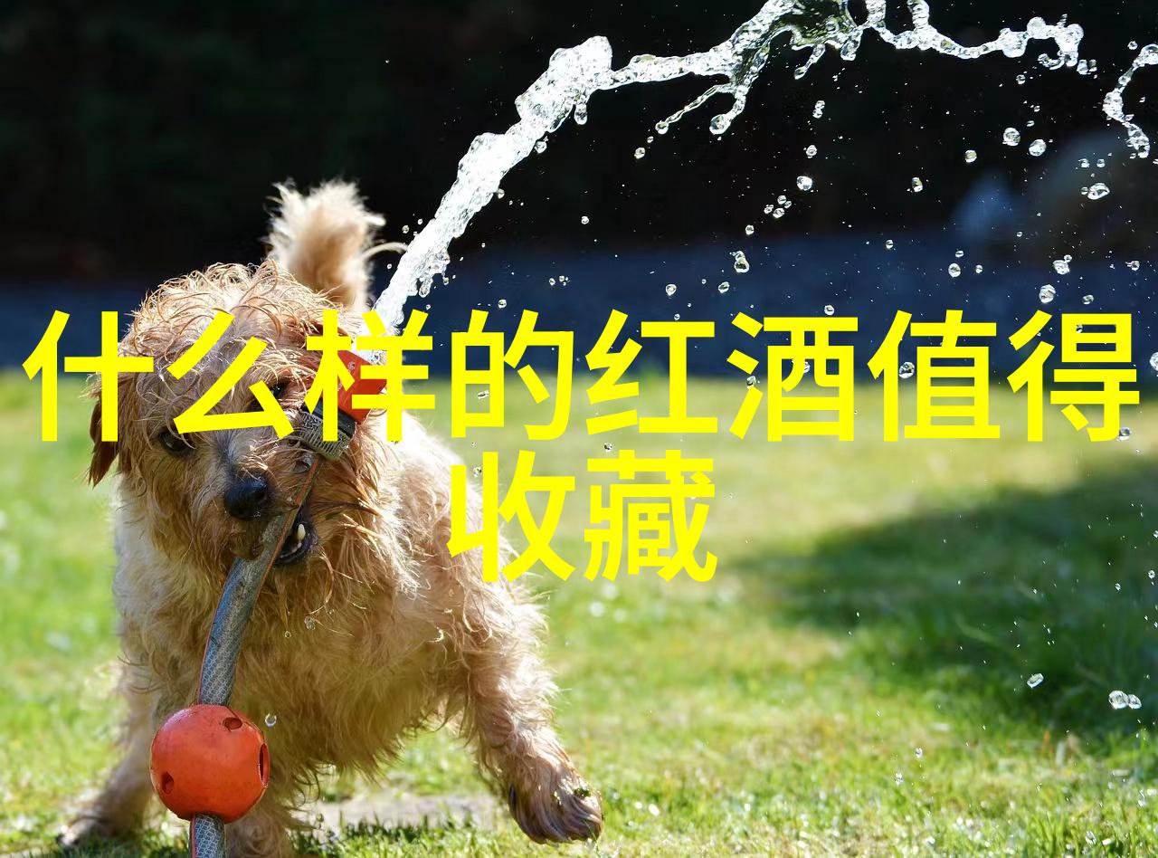 玫瑰花的品种-绚丽多彩探索玫瑰花园中的百余个品种