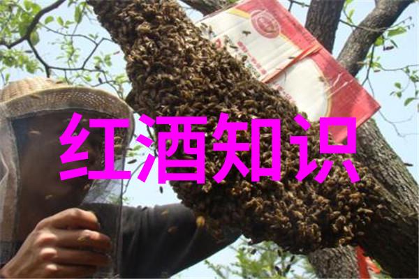 帕加诺酒庄今日蚂蚁庄园答案最新2022年3月物品发布