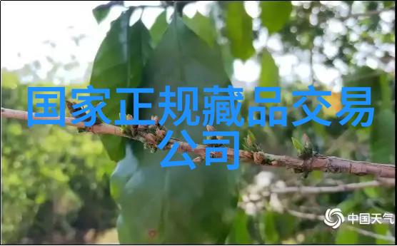 意大利葡萄酒界巨星80位至76位的传奇人物故事