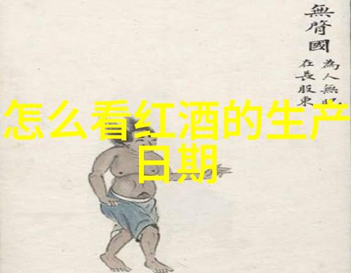 探索历史的回响解读与实施查看历史记录的学术方法论