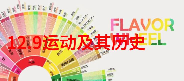 水上乐园浪花中的快乐时光世界五大水上主题公园