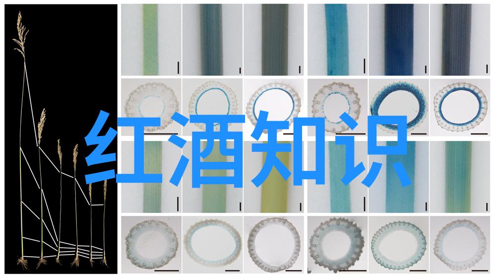 罗埃罗产区中国葡萄酒产区探秘物品