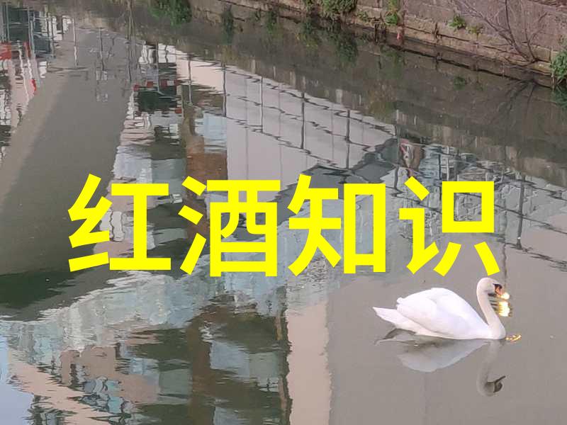 数据驱动的万能敬酒词道尔恰酒庄的智慧选择