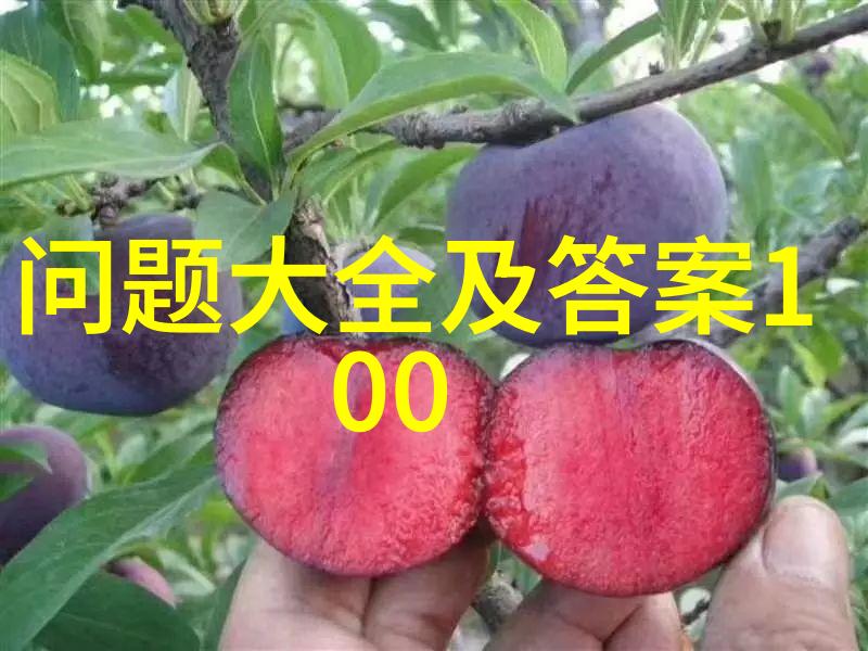 小鸡庄园2023最新养鸡秘籍如何让你的家鸽子活跃又健康