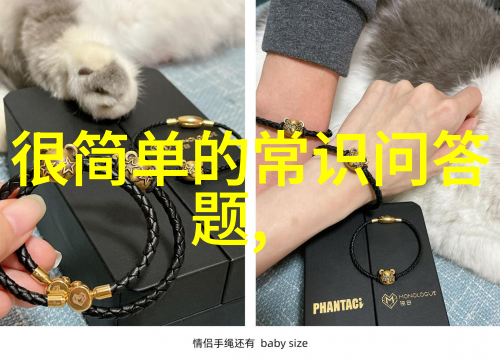 2023小鸡庄园最新的答案-探索幸福之谜解锁鸡舍智慧的新篇章