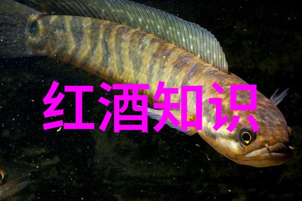 冥想能帮助我更好地管理压力吗它的最佳时间是几点进行呢