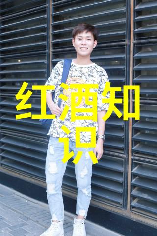 数据挽救大师探索高效的历史数据恢复技术