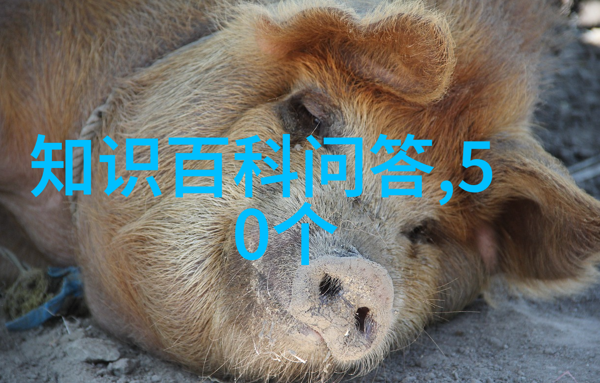 笑声与色彩人物图片卡通艺术的魅力探索