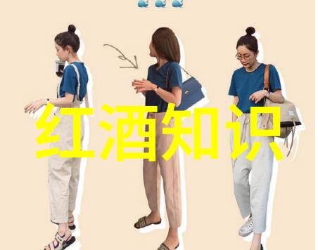 猫咪品种大全图解介绍揭秘那些迷人的脸孔与神秘的身姿