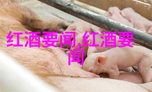 陕西葡萄酒产区中国西北地区的葡萄酒宝地