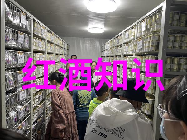 幸福庄园游戏我在这里找到了我的小确幸