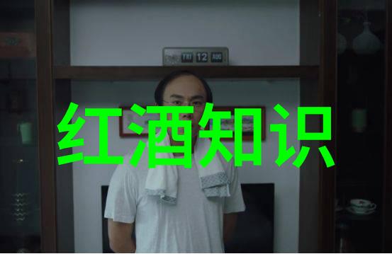 红酒豪赚秘籍从一瓶葡萄酒到百万生意的辨别技巧