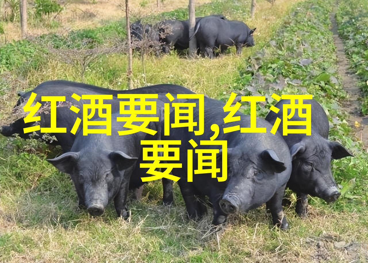螺旋塞红酒需不需要反复醒酒暑假带娃去哪些地方旅游最合适