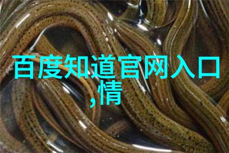 农业科普 - 玉米品种简介从古老的印第安玉米到现代高产优质