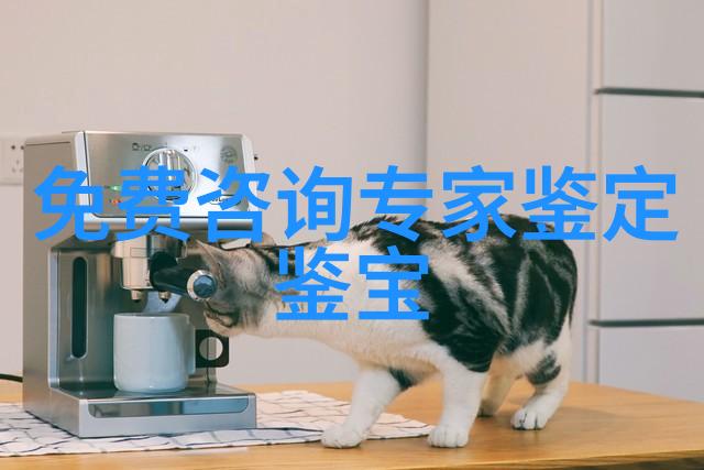 庄园深处的幽暗秘密