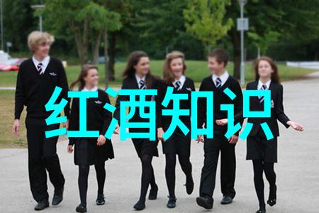 红酒的日常知识大全我是怎么从初学者变成红酒小能手的