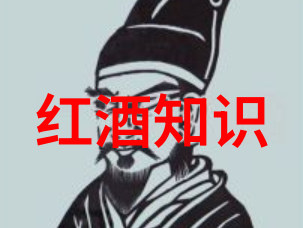 智慧问答大师解锁你的百度神器