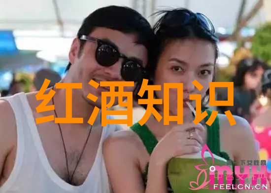 法国葡萄酒文化之旅你将从哪一座城市开始探索