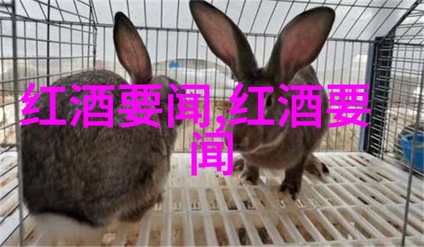 当旧世界红酒遇到天然奶油巧克力蛋糕时
