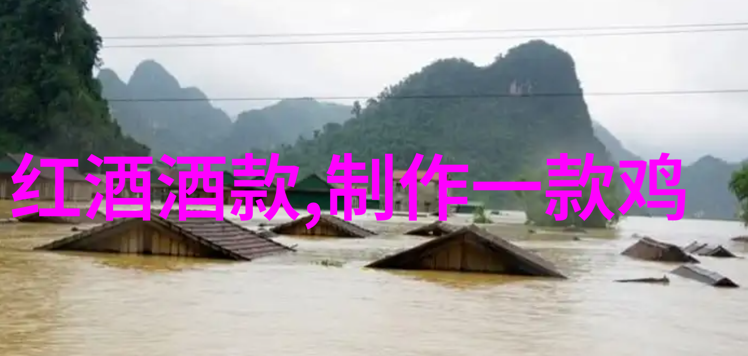 乡都典藏干红葡萄酒的香浓之旅品味与收藏之间的选择
