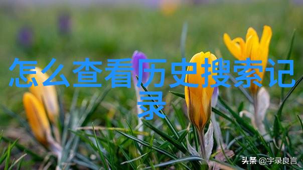未知领域的守护者百度答主中心入口之谜