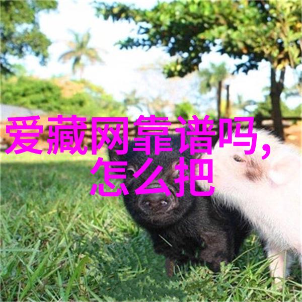 上海周边有啥好玩的你一定要去看看这些神秘古镇和风景区