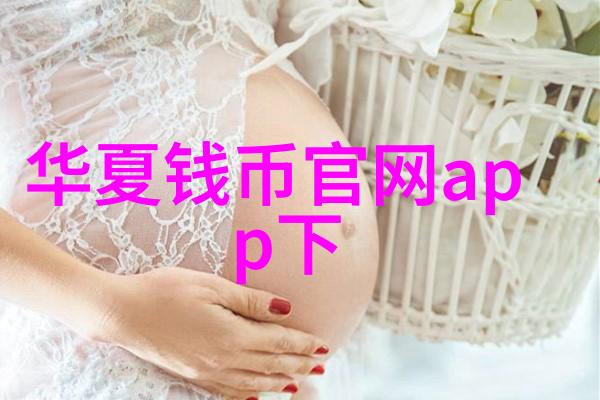 法国葡萄酒之旅探索十大产区的醇香与风情